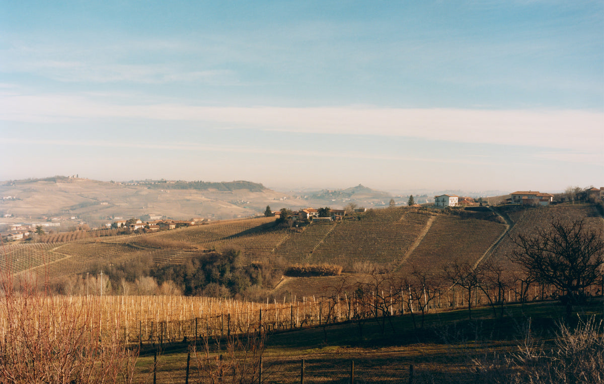 A Postcard from Piedmont