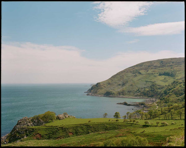 The Survey Vol. 8: New Year's Resolutions