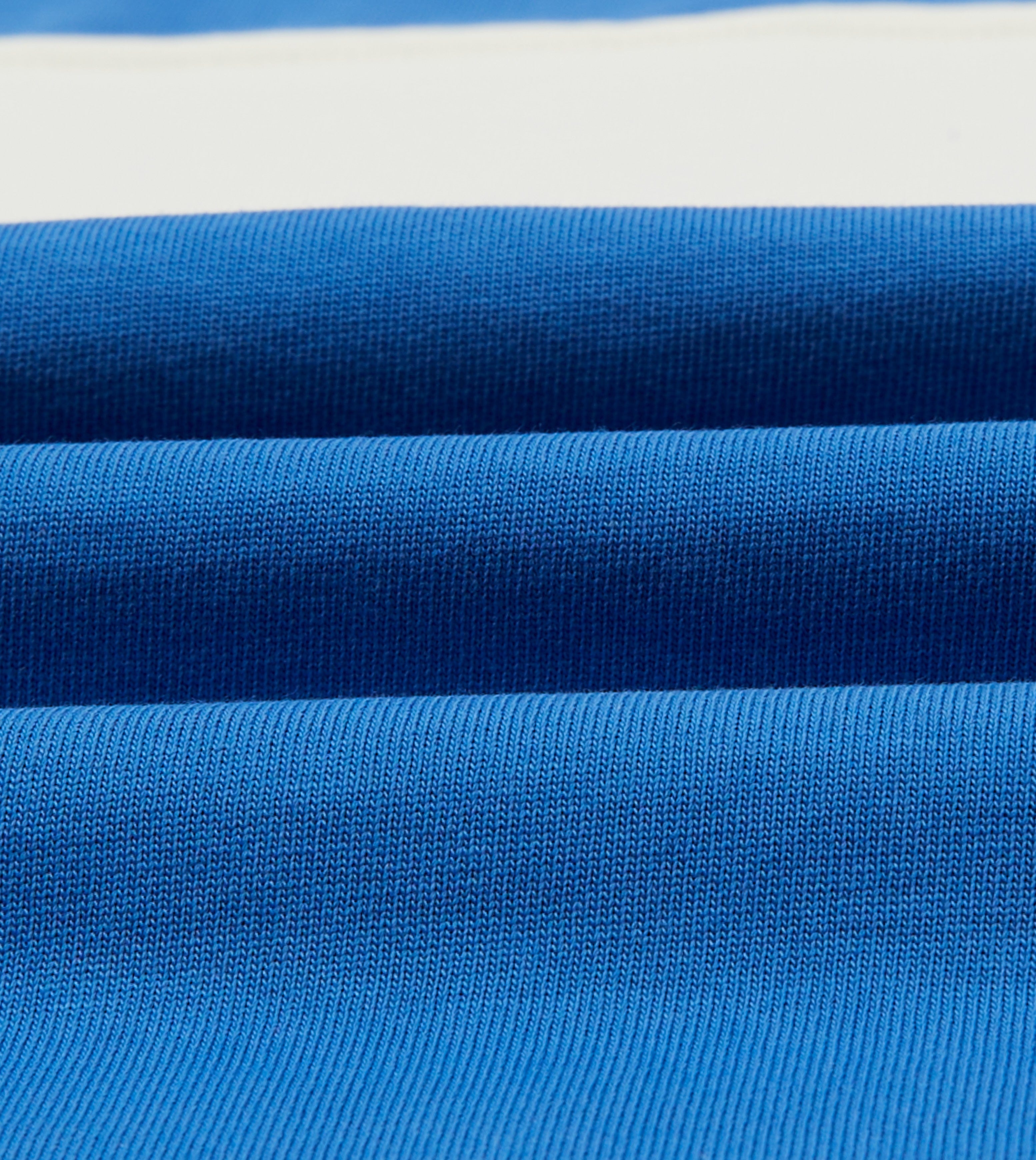 Blue and Ecru Panel Stripe Cotton Crew Neck Hiking T-Shirt