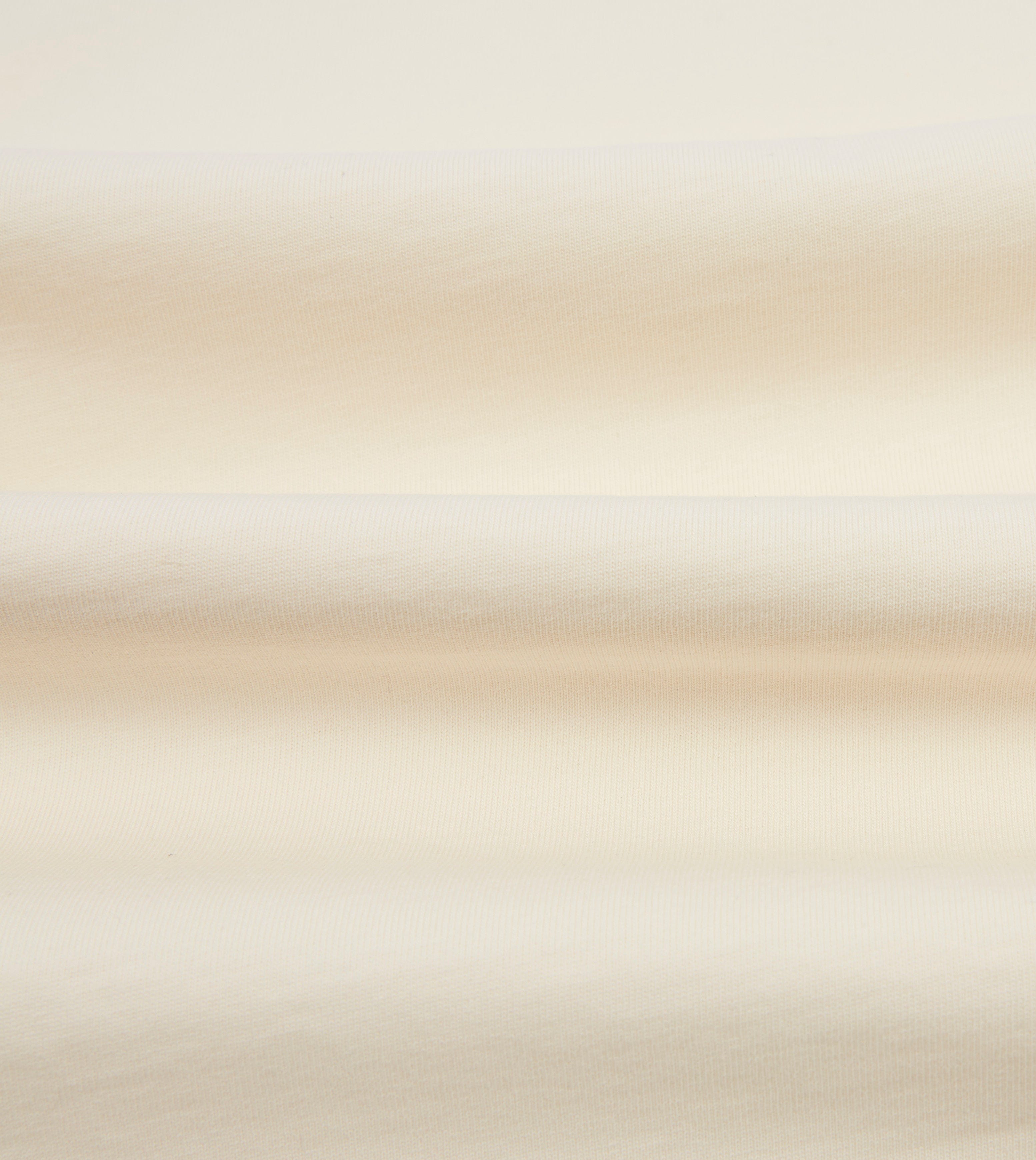 Blue and Antique White Raglan Sleeve Hiking T-Shirt