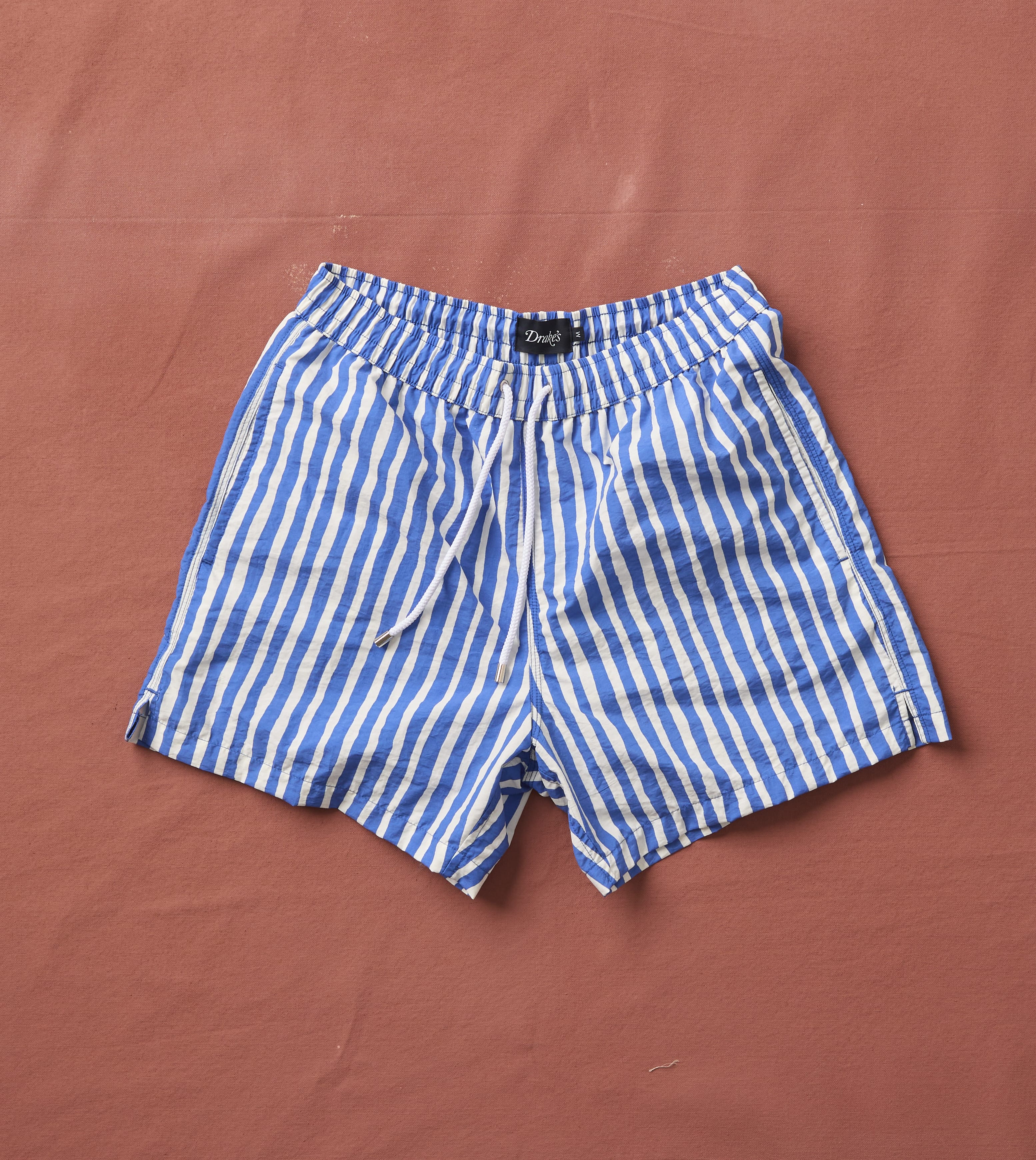 Blue Stripe Print Nylon Drawstring Swim Shorts